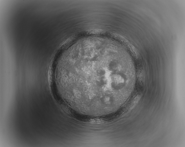 X0000103130591200809051611