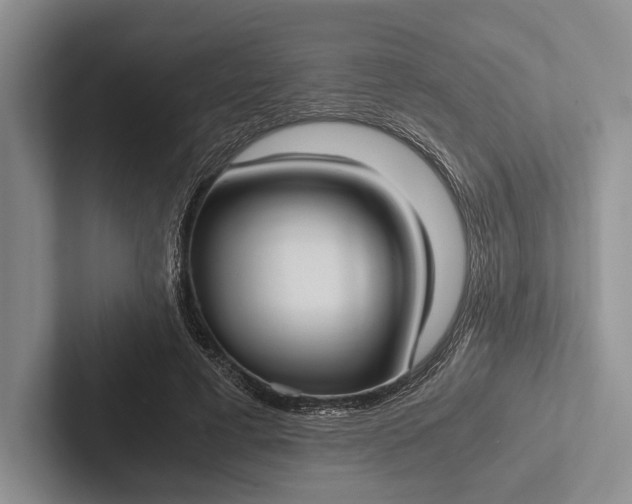 X0000103130593200809051611