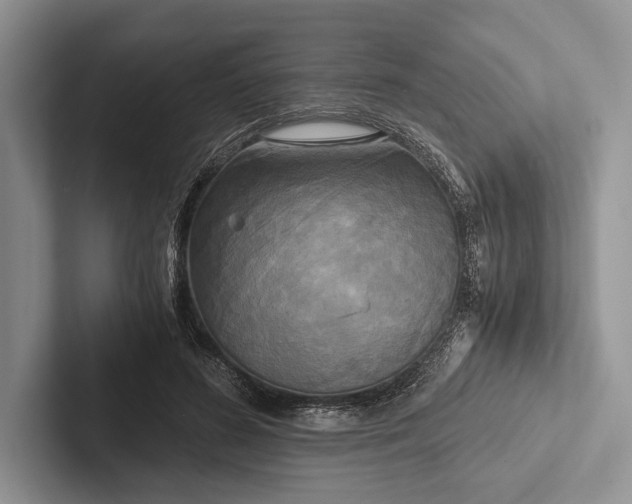 X0000103130596200809051611