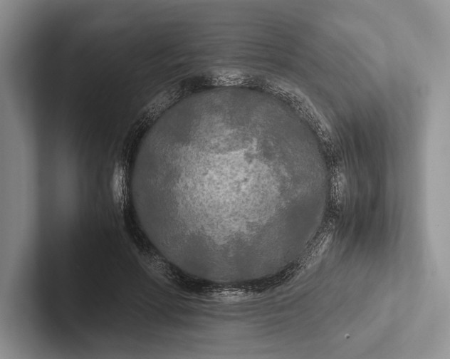 X0000103130598200809051611