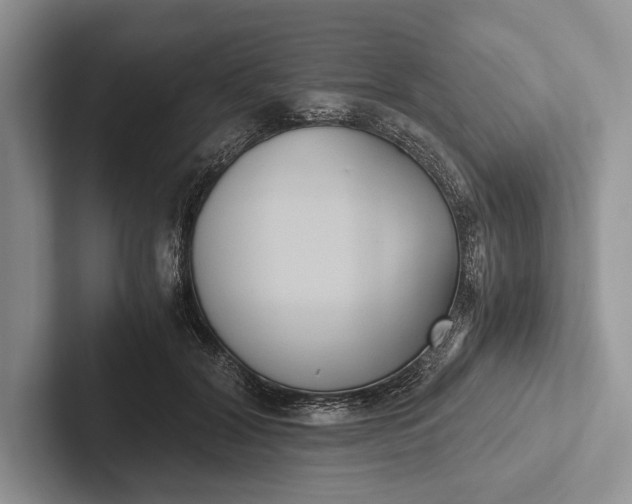 X0000103130604200809051611