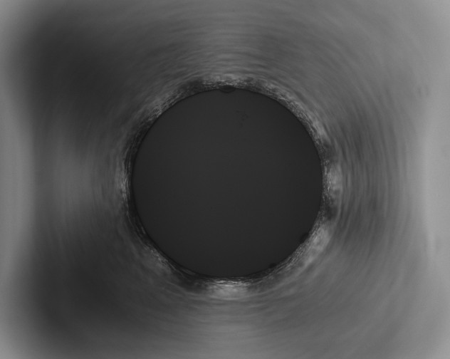 X0000103130617200809051610