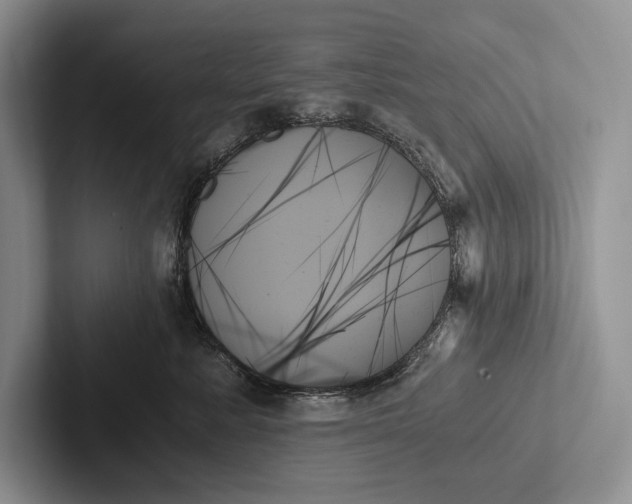 X0000103130619200809051610