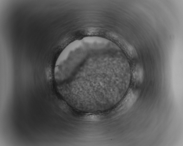 X0000103130620200809051610