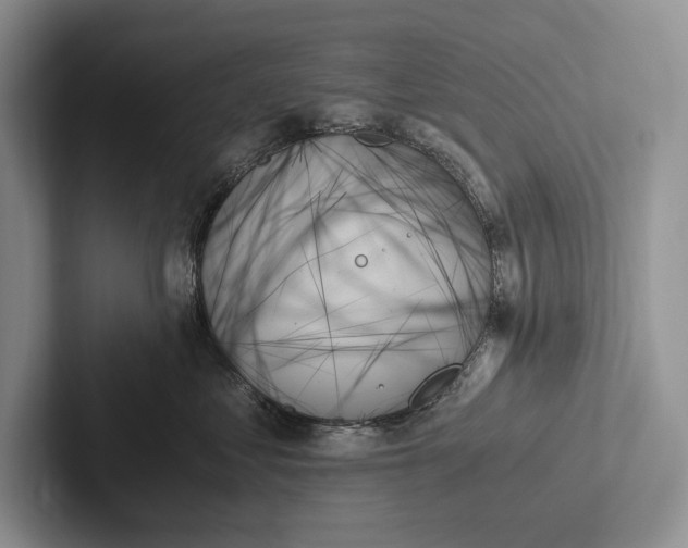 X0000103130621200809051610