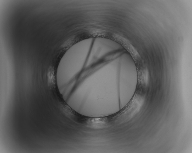 X0000103130622200809051610