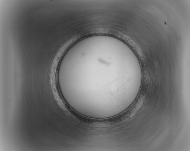 X0000103130625200809051610