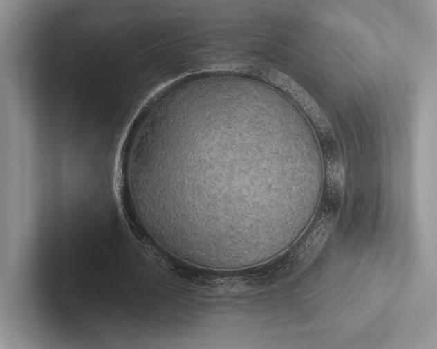 X0000103130628200809051610