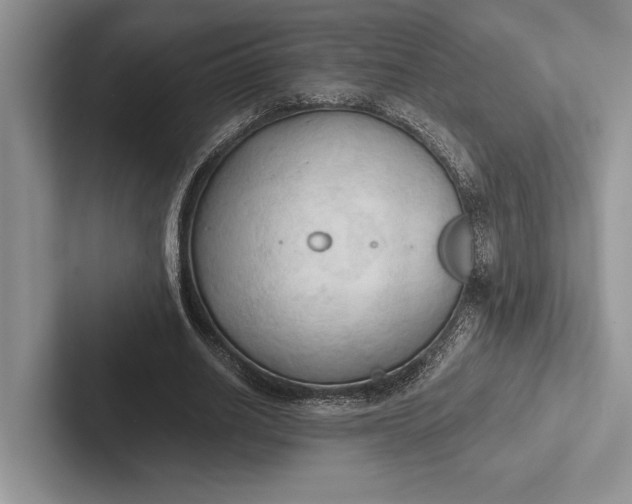X0000103130630200809051610