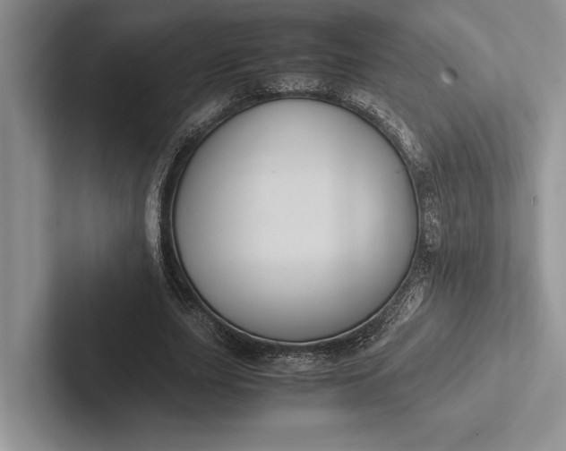 X0000103130631200809051610