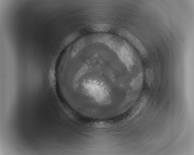 X0000103130634200809051610