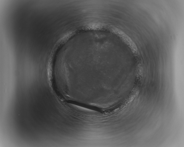 X0000103130640200809051610