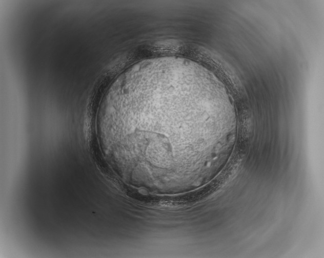X0000103130641200809051610