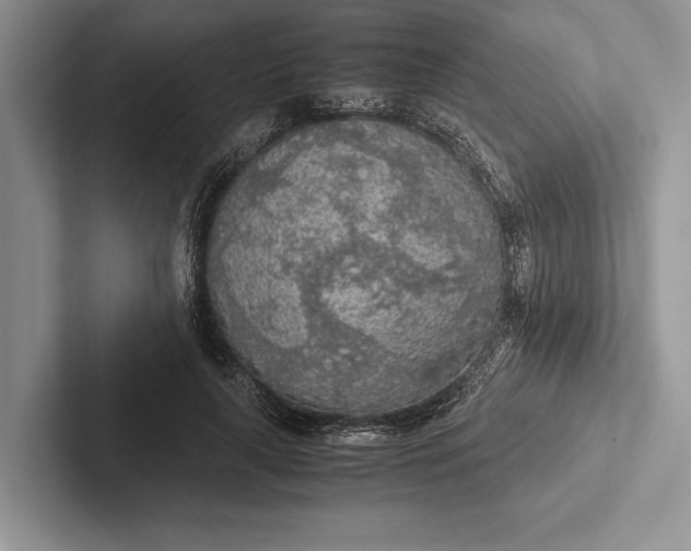 X0000103130643200809051610