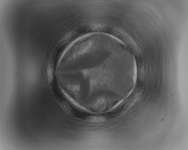 X0000103130644200809051610