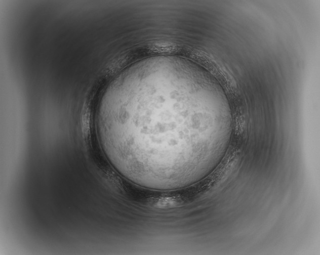 X0000103130647200809051610