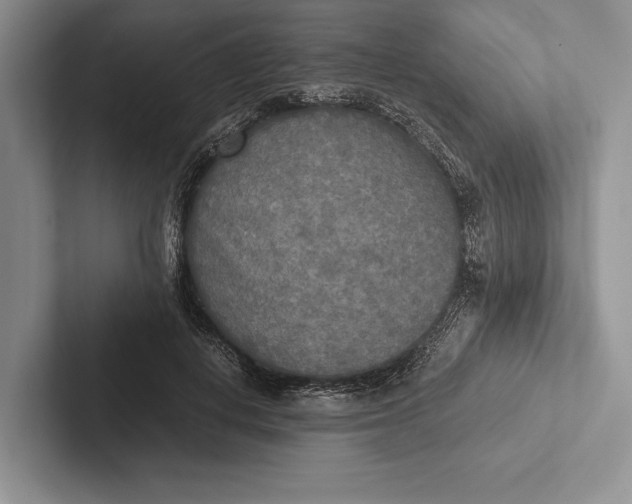 X0000103130648200809051610