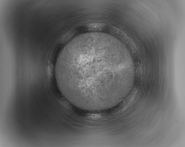 X0000103130649200809051610