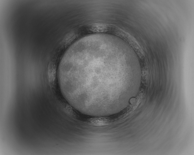 X0000103130652200809051610