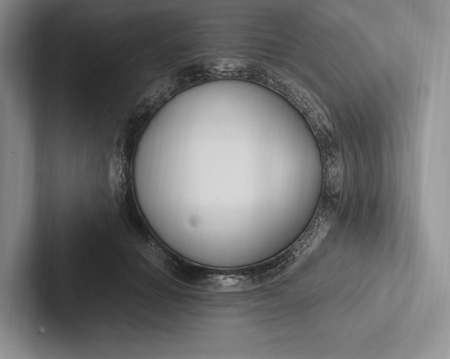 X0000103130654200809051610