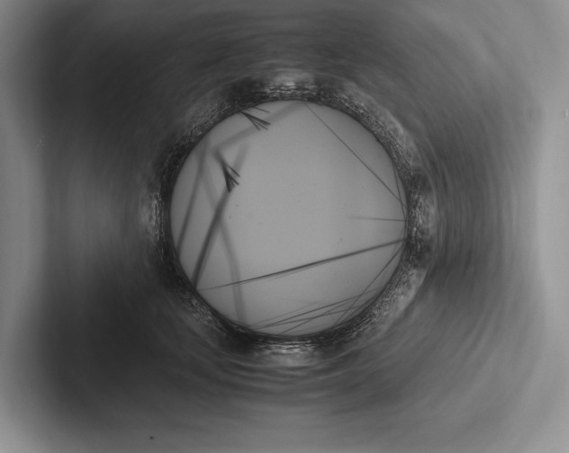 X0000103130659200809051610