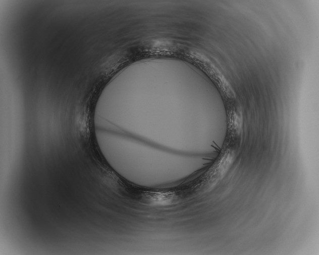 X0000103130663200809051610