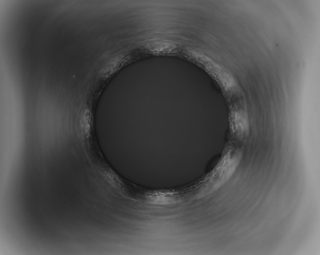 X0000103130664200809051610