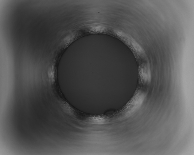 X0000103130668200809051610