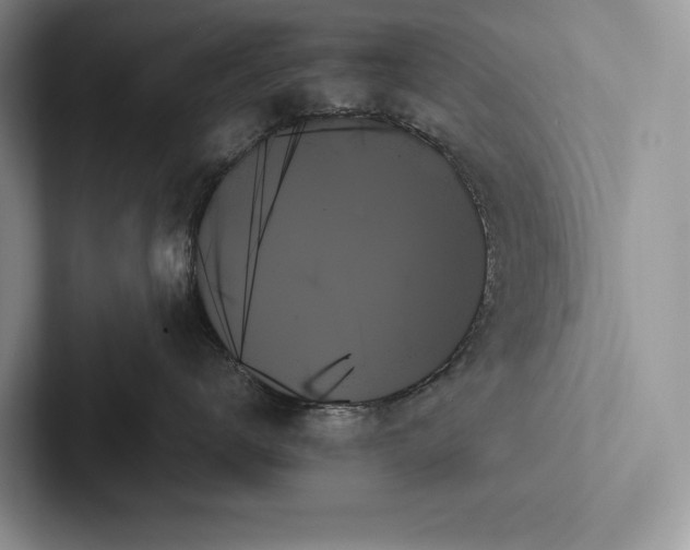 X0000103130672200809051610