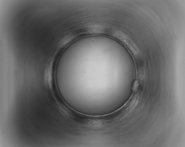 X0000103130677200809051610