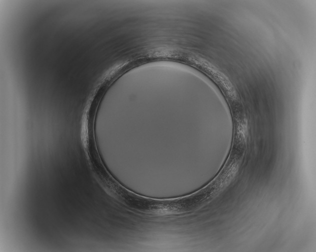 X0000103130678200809051610