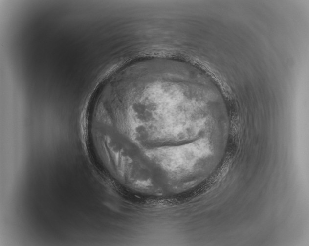 X0000103130679200809051610