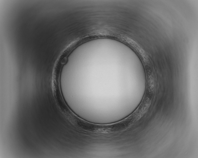 X0000103130680200809051610
