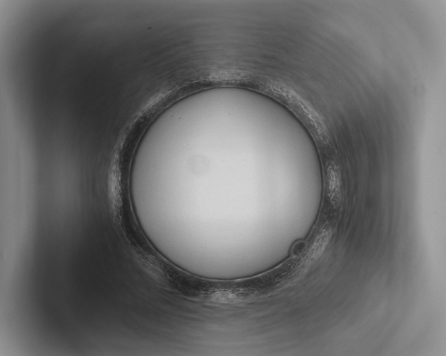 X0000103130684200809051609