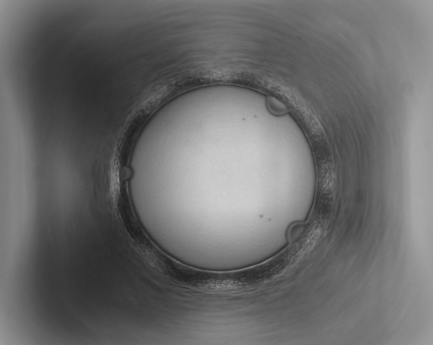 X0000103130685200809051609