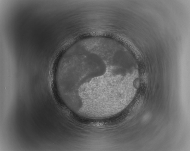 X0000103130687200809051609