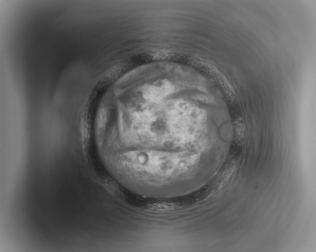 X0000103130691200809051609