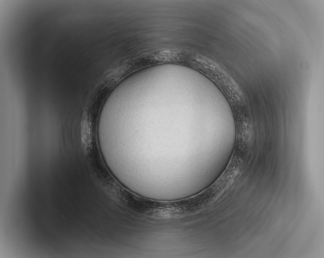 X0000103130696200809051609