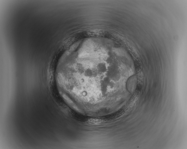X0000103130699200809051609