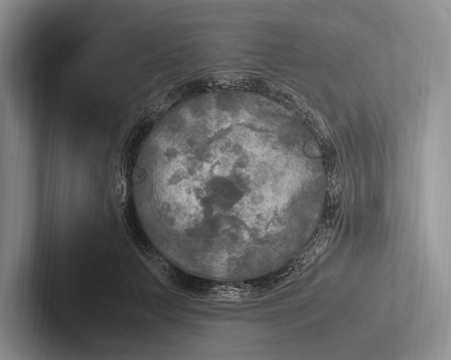 X0000103130703200809051609