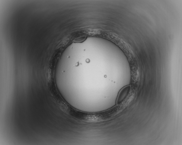 X0000103130704200809051609