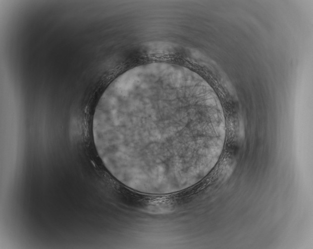 X0000103130705200809051609