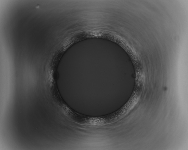 X0000103130707200809051609