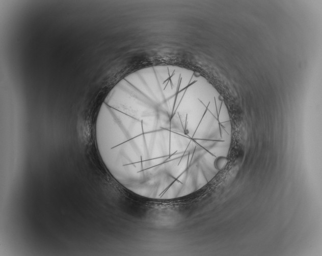 X0000103130709200809051609