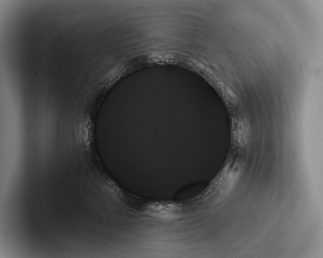 X0000103130712200809051609