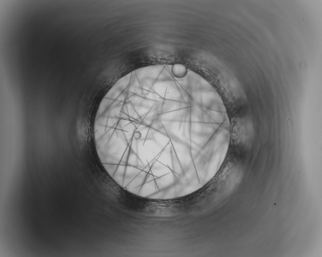 X0000103130713200809051609