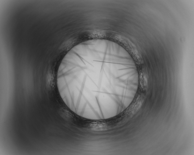 X0000103130714200809051609