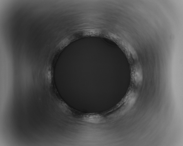 X0000103130716200809051609
