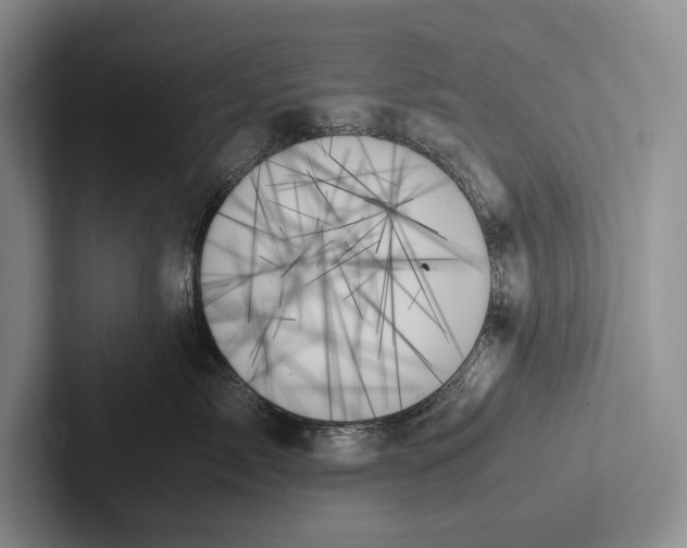 X0000103130717200809051609