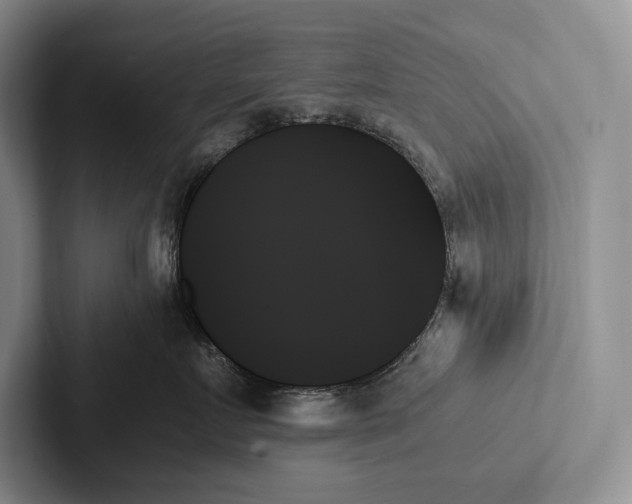 X0000103130719200809051609